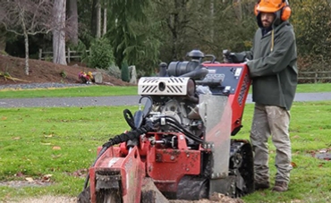 tree_services